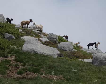 20210617-13h19m24s-IMG_3508-V3