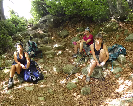 20210618-10h47m38s-IMG_3520-V3