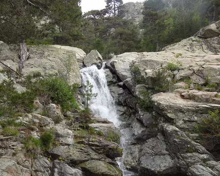 20210620-08h48m44s-IMG_3555-V3