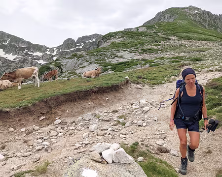 20210620-12h57m45s-PXL_20210620_105745603.MP-V3