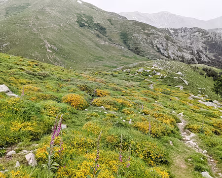 20210620-13h38m50s-PXL_20210620_113850023-V3