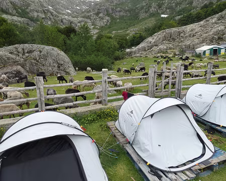 20210620-17h06m42s-IMG_3565-V3