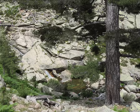 20210623-14h57m41s-IMG_3595-V3