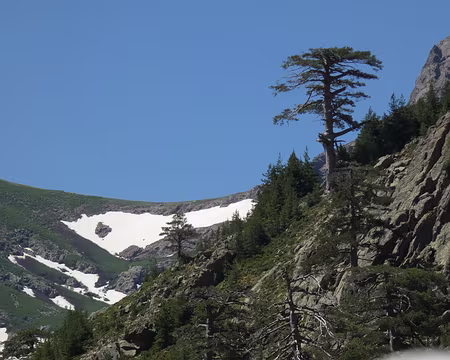 20210624-12h03m11s-IMG_3607-V3