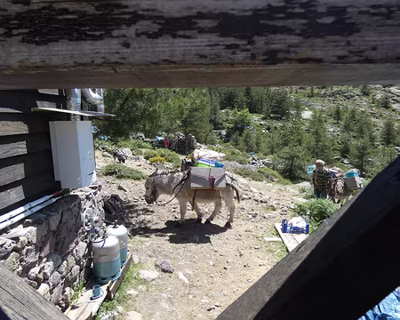 20210624-12h15m25s-IMG_3608-V3