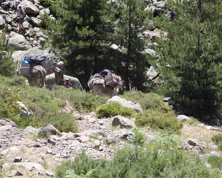 20210624-12h26m02s-IMG_3609-V3