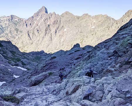 20210625-08h13m25s-PXL_20210625_061325999-V3