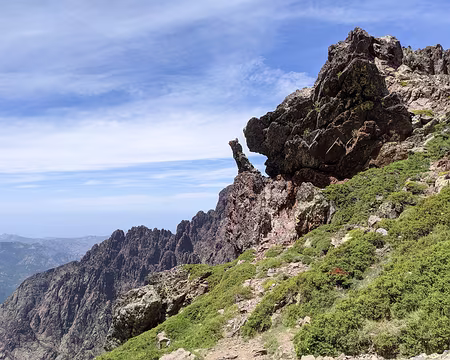 20210626-13h55m14s-PXL_20210626_115514153-V3