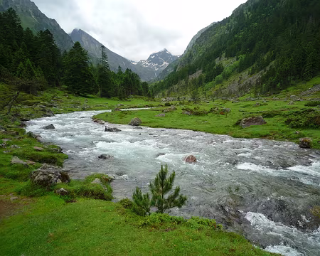 P1280104 vallée du Lutour