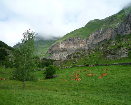 P1280205 aux Granges de Holle