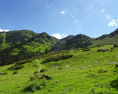 DSC08791 Montée au col de Riou