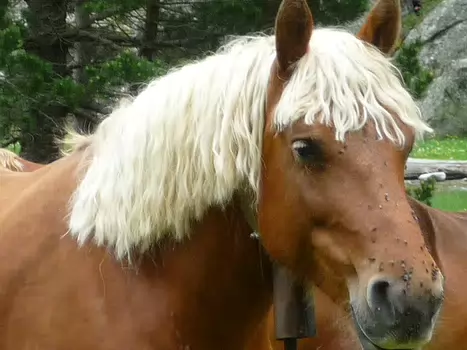 Bernadette Bernadette P, détail sortie