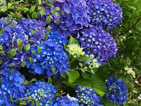 Marina Marina F, détail sortie