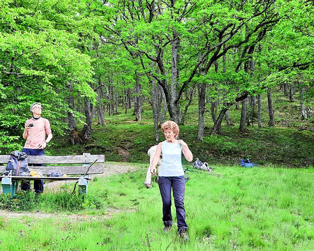 20210602-10h00m37s-20210602_100037-V3