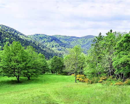 20210602-10h01m36s-20210602_100136-V3