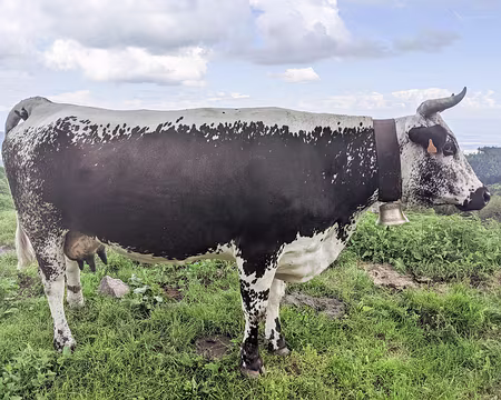 20210603-15h32m28s-PXL_20210603_133228245-V3