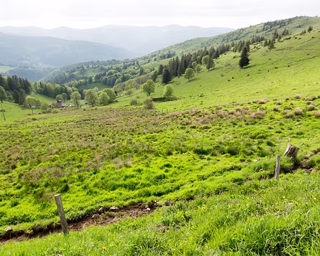 20210603-17h57m08s-XLA01525-V3