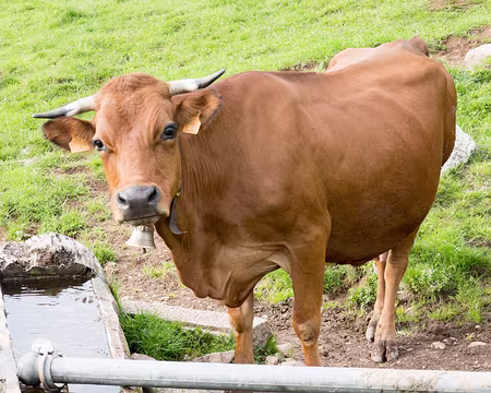 20210603-18h00m30s-XLA01526-V3