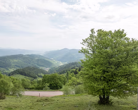 20210604-08h22m15s-XLA01531-V3