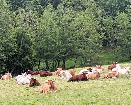 20210604-16h00m29s-PXL_20210604_140029269-V3