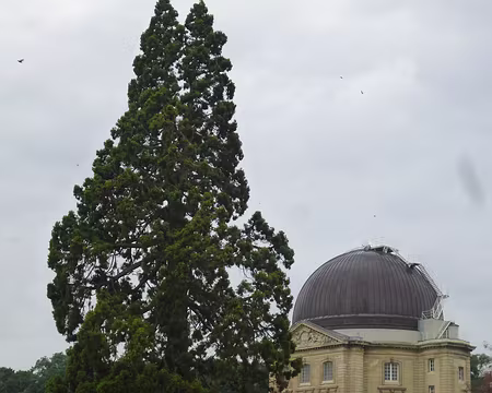 P1130816 Observatoire de Meudon fondé en 1876 par Jules Janssen (1824-1907), astronome de l'Institut.