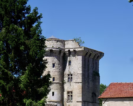 P1070035 Le donjon du Houssoy à Crouy-sur-Ourcq (XIVème)