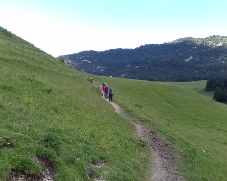 004 Prairies d’alpage au Col de l’Alpette
