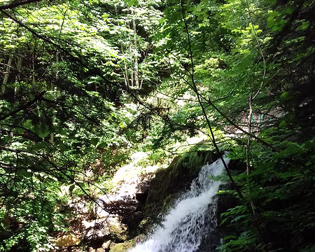 023 Première cascade du Guiers