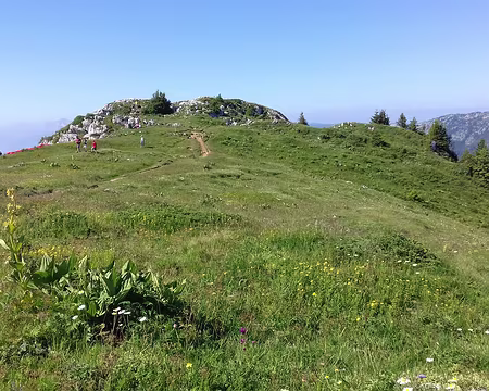 029 Le Charmant Som (1867 m) est couvert de prairies d’alpages fleuries