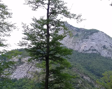 086 Rando croquis le long du sentier qui mène au château de Montbel