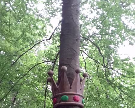 112 Couronne sculptée dans un épicéa de Chartreuse et fixée sur un hêtre ondé désigné «Arbre roi de la forêt»