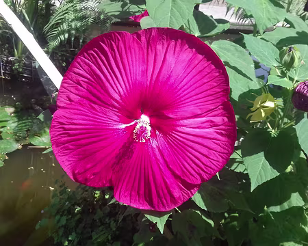 140 Merci à Nicole et Bernard pour cette très belle semaine de randonnées en Chartreuse