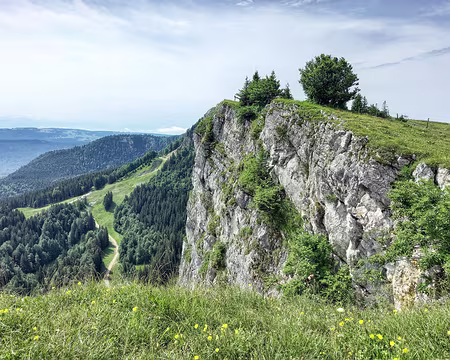 0019 Crêtes du Mont d'Or