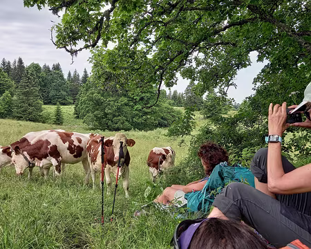 0030 Curiosité partagée