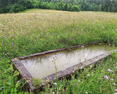 0056 Et la pluie arriva.