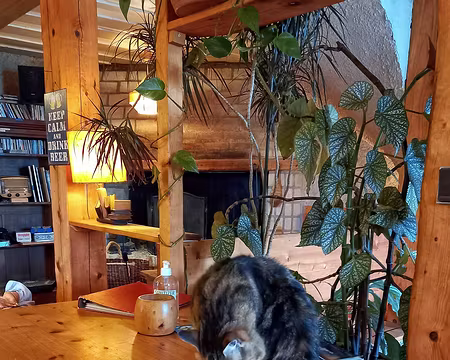 0061 La Grenotte avec Prunelle.