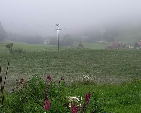 0074 Va-t'on y voir clair?