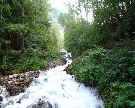 DSC09035 Le Vénéon