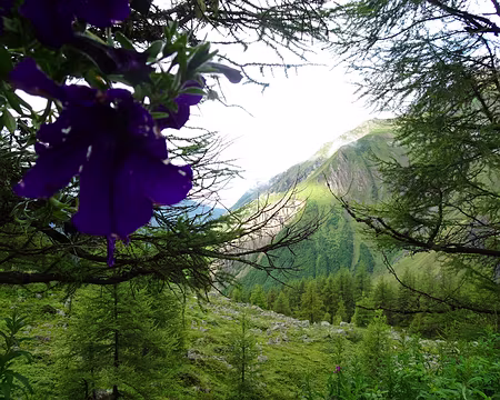 DSC09091 Photo prise du refuge des Souffles, apres une journée de pluie ininterrompue la veille