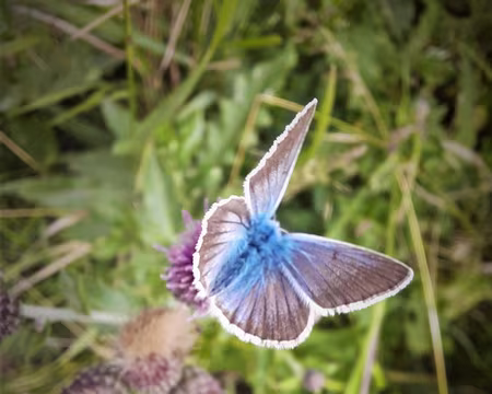 AZURE-20210812_111829