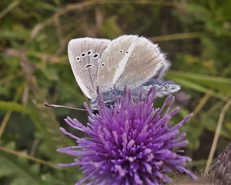 AZURE-20210812_111844