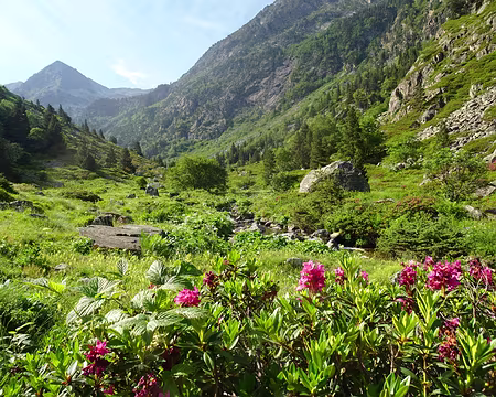DSC08897 Ruisseau du Nabre