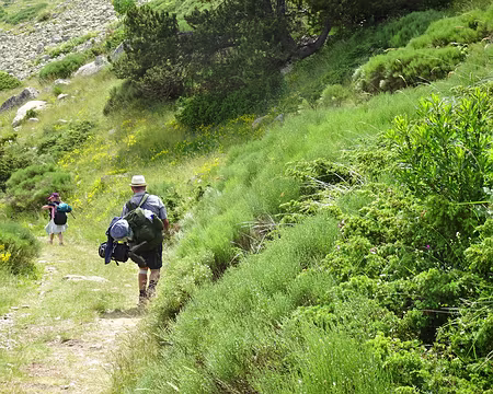 DSC08939 Ca penche à gauche