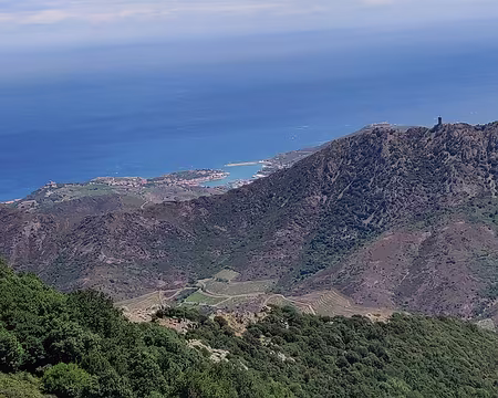 IMG_20210714_122505 Port-Vendres