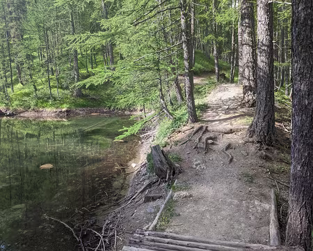 20210725-09h30m45s-PXL_20210725_073045040-V3