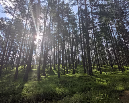 20210725-09h34m12s-PXL_20210725_073412142-V3