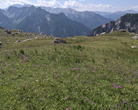 20210725-11h43m08s-PXL_20210725_094308584-V3