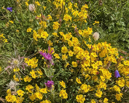 20210725-11h48m49s-PXL_20210725_094849152-V3