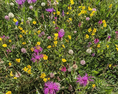 20210725-11h51m03s-PXL_20210725_095103373-V3