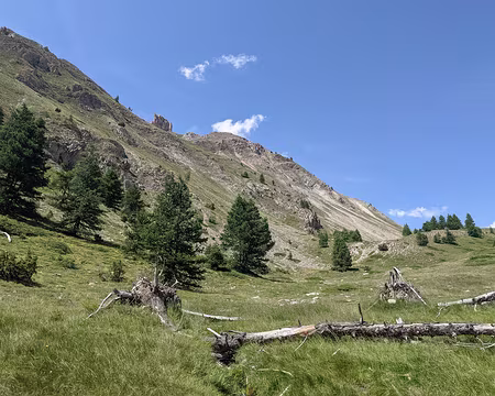 20210725-14h58m37s-PXL_20210725_125837136-V3 En haut à gauche la dent du ratier